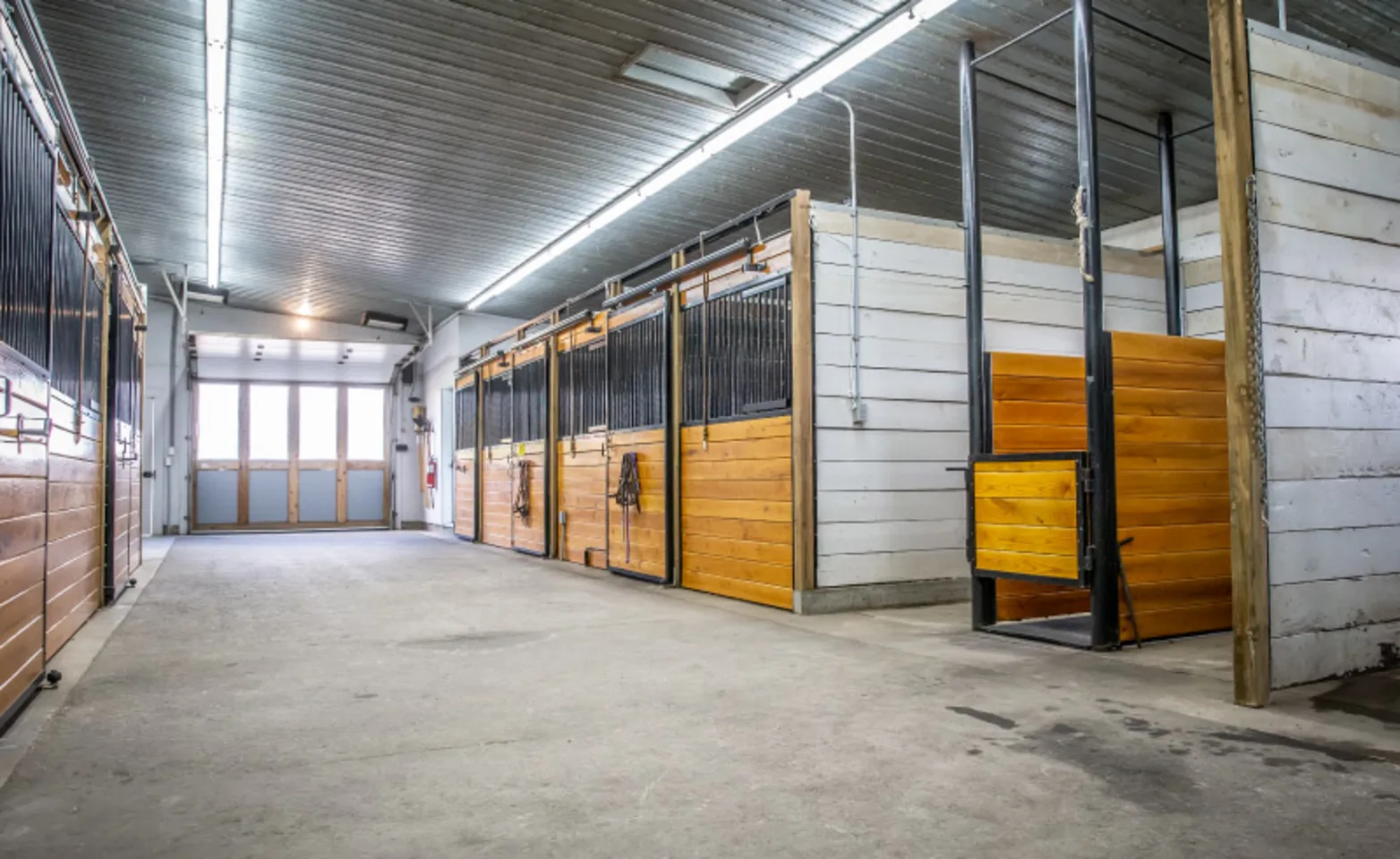 Facility Russell Equine Veterinary Service Inside